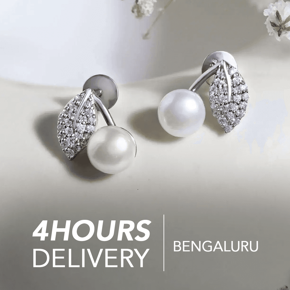 Bangalore One day