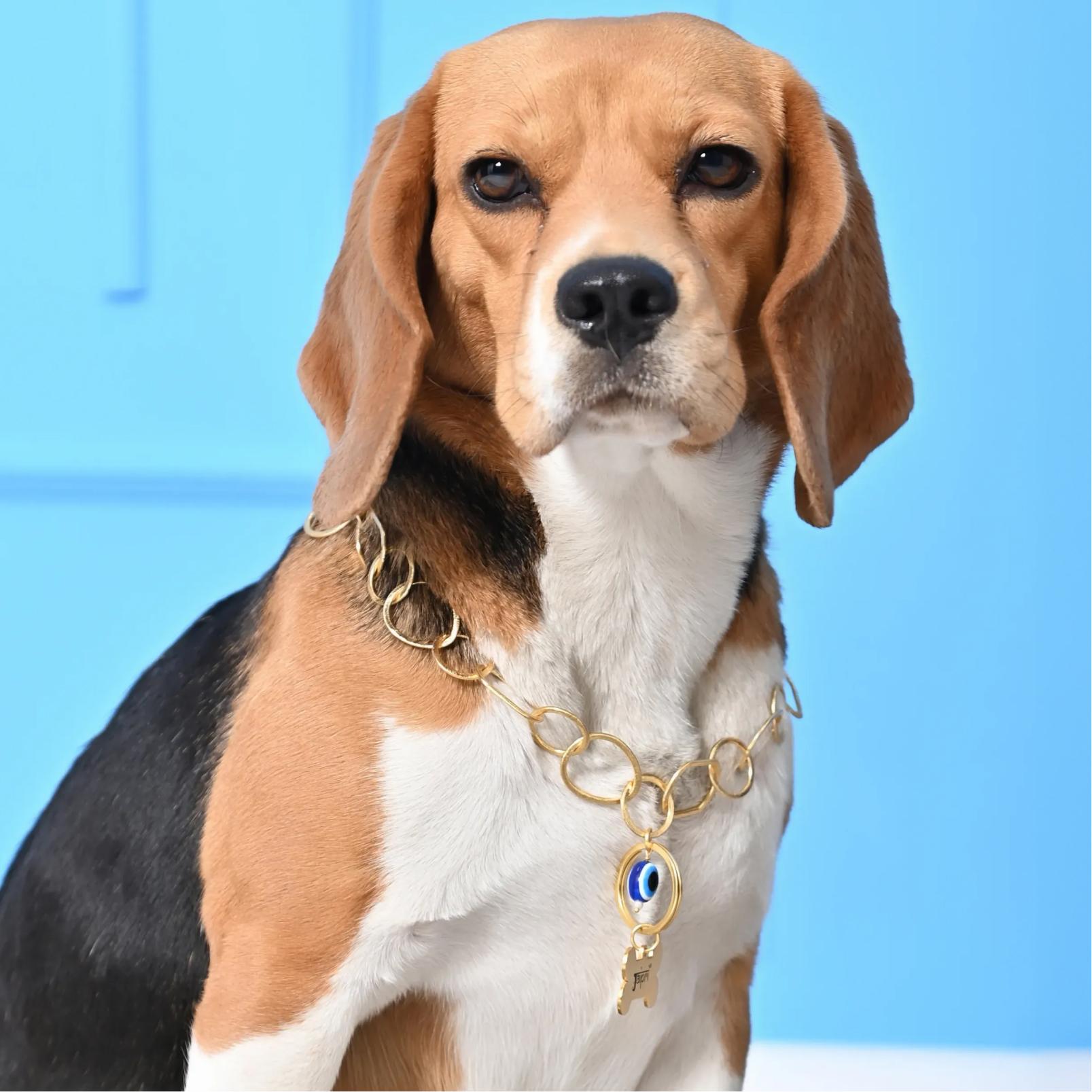 Pet Jewelry