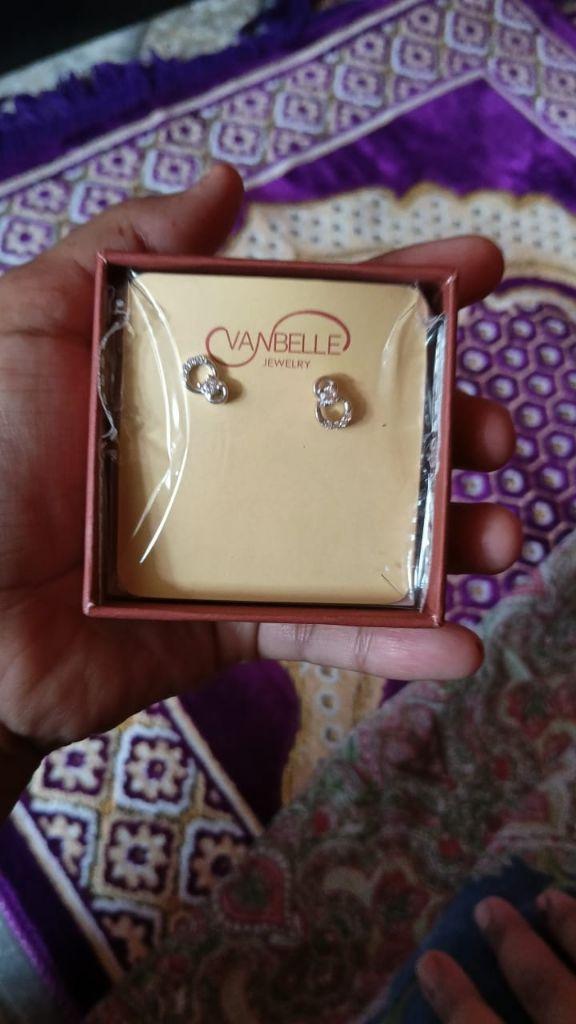 925 Sterling Silver Earrings-Vane099